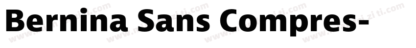 Bernina Sans Compres字体转换